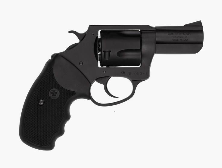 Charter Arms Bulldog (.44 Special) Double Action Indoor